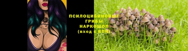 герыч Алзамай