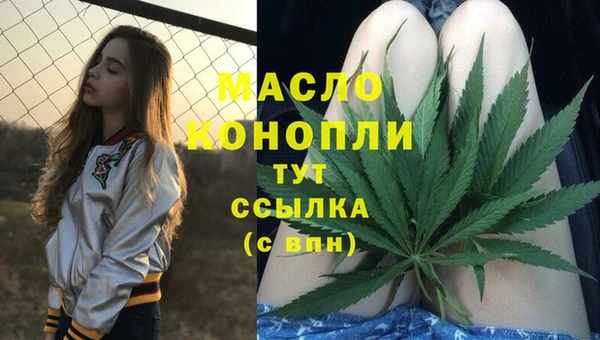 молекула духа Ростов